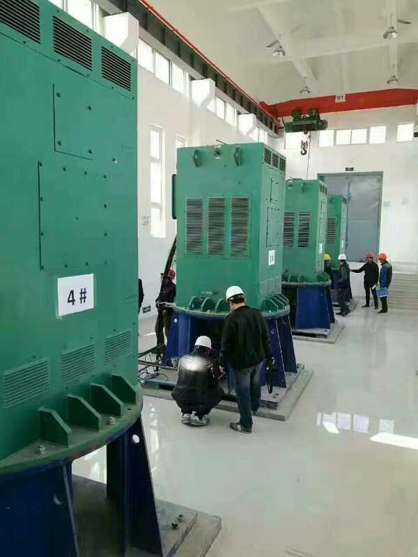 海南某污水处理厂使用我厂的立式高压电机安装现场